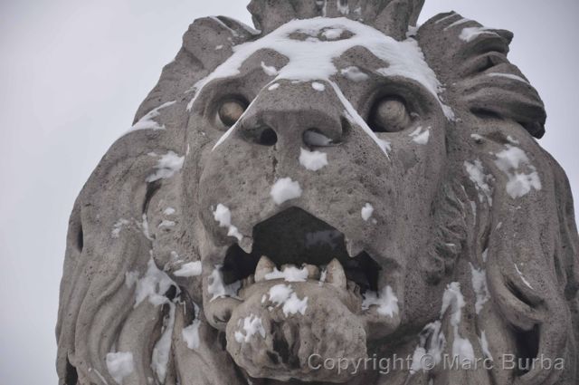 Chain Bridge lion