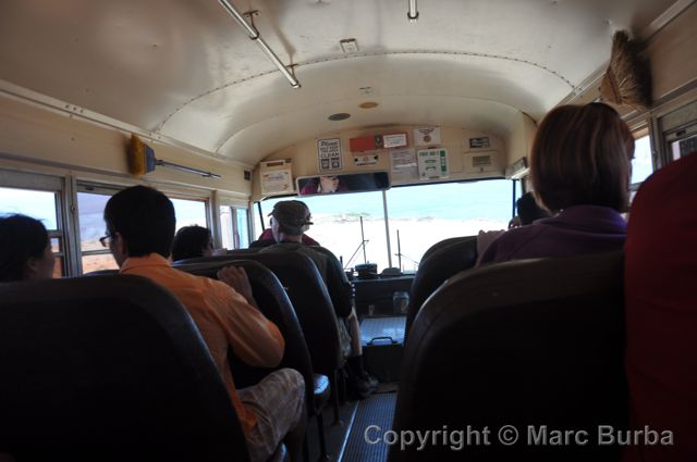 Safari Bus passengers