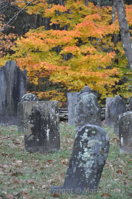 fall leaves Cushing Cemetery