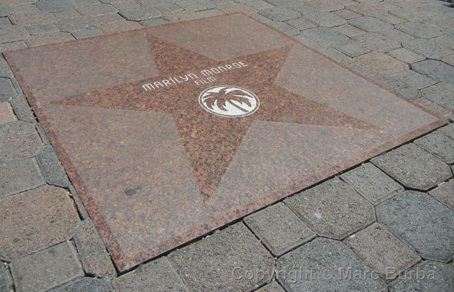 Marilyn Monroe's Star on the Palm Springs Walk of Stars - Public Art in  Downtown Palm Springs