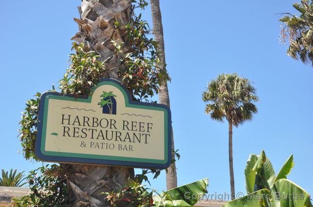 Catalina Harbor Reef restaurant