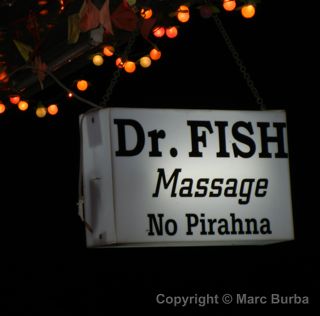 Doctor fish, Siem Reap, Cambodia
