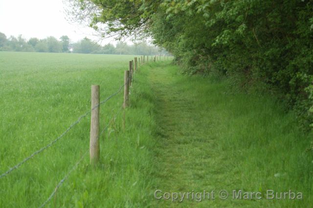 River Avon Trail