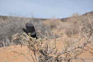 Rinconada Canyon Trail