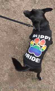 AIDS Walk 2012 San Francisco puppy pride