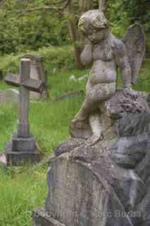 Arnos vale child grave