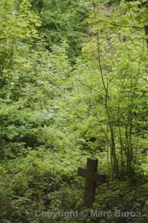 Arnos Vale cross