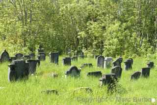 Arnos Vale grasslands