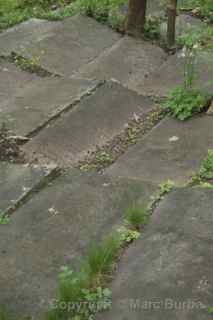 Arnos Vale slabs