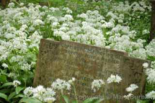 arnos vale grave