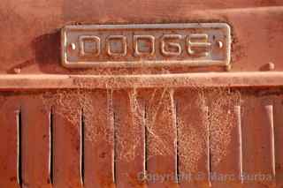Stuarts Well Dodge