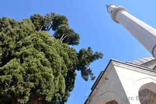 pocitelj mosque