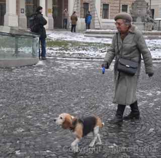 bratislava dog walker