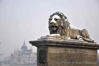 Chain Bridge lion