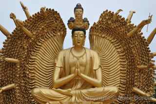 Ten Thousand Buddhas Monastery