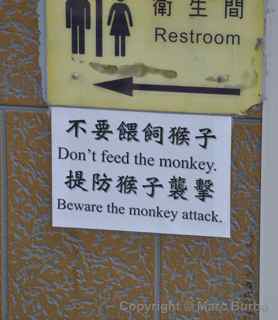 Ten Thousand Buddhas Monastery