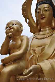 Ten Thousand Buddhas Monastery