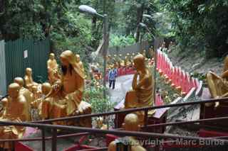 Ten Thousand Buddhas Monastery