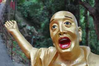 Ten Thousand Buddhas Monastery