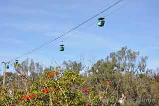 San Diego Zoo