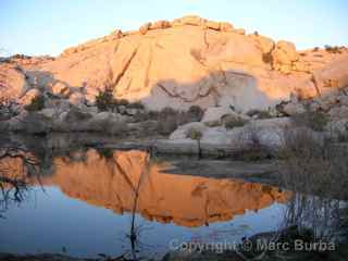 Joshua Tree Barker Dam