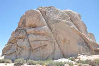 Joshua Tree Intersection Rock