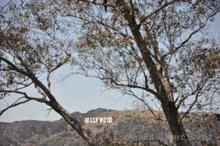 Griffith Observatory