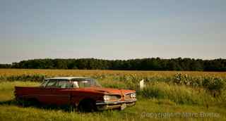 1959 Pontiac Catalina vista