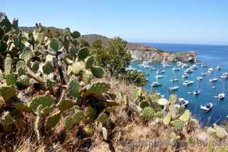 Two Harbors hiking