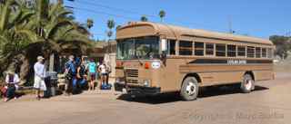 Catalina Safari Bus