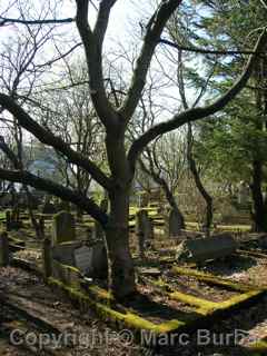 Reykjavik cemetery, Iceland