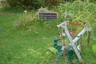 Talkeetna Cemetery, Alaska