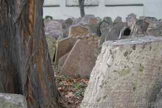 Jewish Cemetery Prague