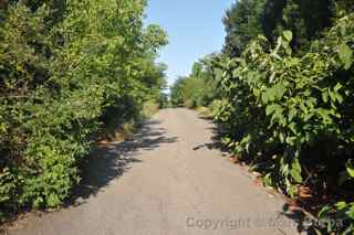 Centralia, Pa., street