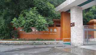 Chengdu Research Base of Giant Panda Breeding