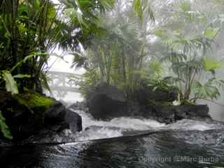 Tabacon Hot Springs