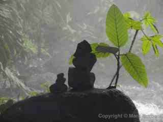 Tabacon Hot Springs