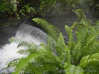 Tabacon Hot Springs