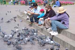 Plaza de Armas Cusco Peru