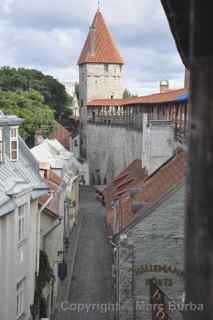 Hellemann Tower view