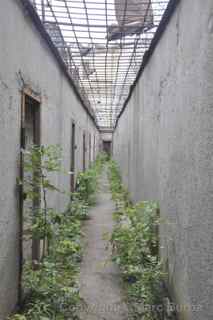 Patarei Prison walking yards
