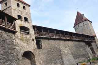 Tallinn town wall