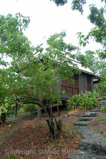 Nanuya Island Resort, Fiji