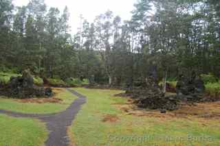 Lava Tree State Monument, Hawaii