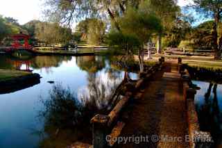 Hilo Bay park