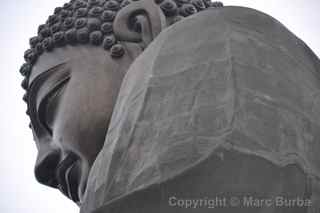 tian tan buddha