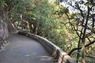 Victoria Peak trails