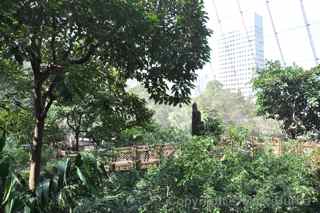 Hong Kong bird park