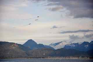 homer alaska kite