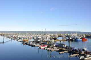 homer spit boats alaska